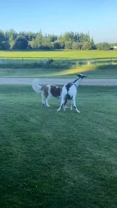 A distinctive and wholesome friendship