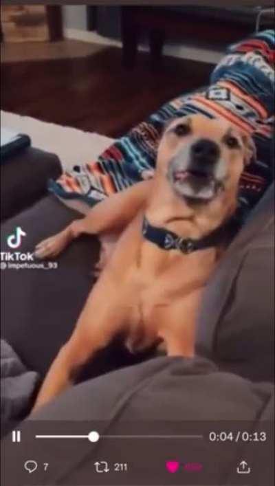 ENxP from Introvert’s perspective