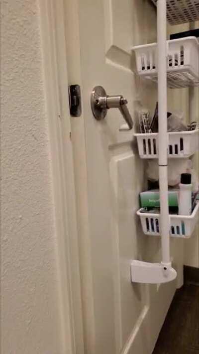 Eddie figured out door handles, so RIP to my privacy