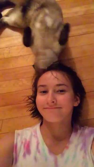 I might as well be catnip meow