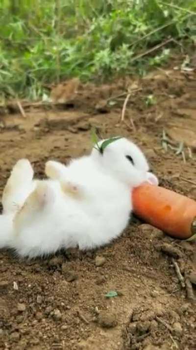 Living the best life