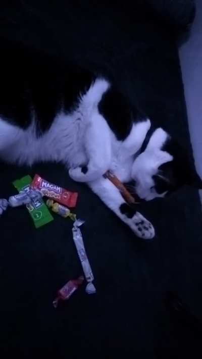 Woody is a sweet theif.