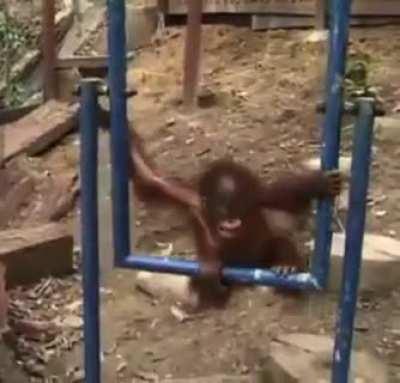 ORANG NOOOOOOOOOOOOOO