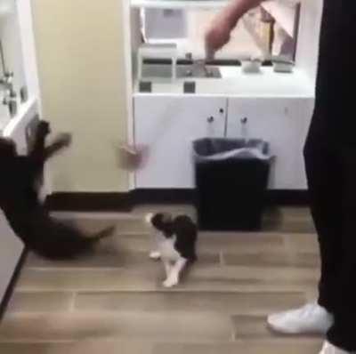 Oops! Things didn't go according to plan...