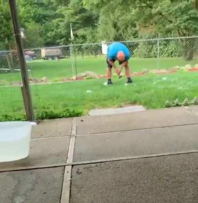 When you brush a husky...