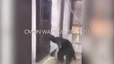 Monke?????? 😳😳