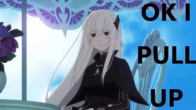 [MS] Echidna Pulls Up