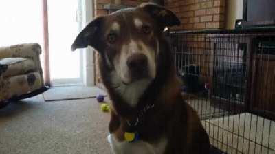 Body first, then head