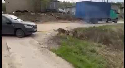 Let's get you out of that ditch!