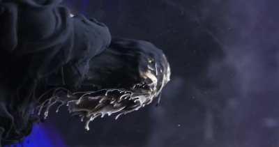 Ink In Motion by Macro Room