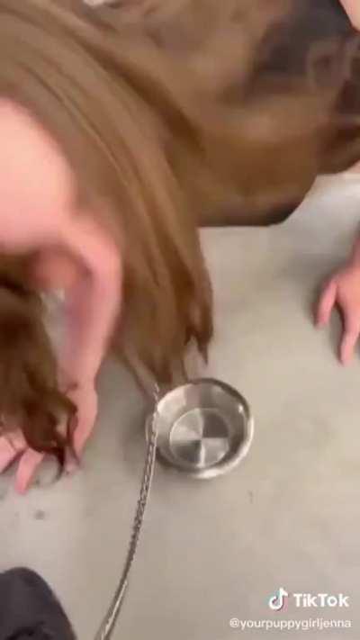 Curious for George’s opinion on this. Allow the upvotes so he can see !