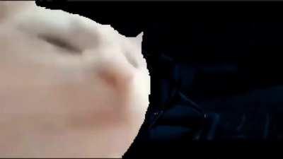 I have been listening to moth to a flame for 6 hours straight