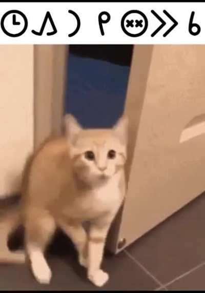 tenpo lili ni la mi kama tawa ma sina