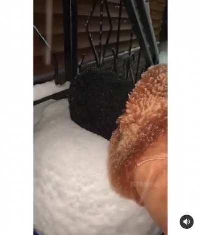 Self-portrait in Siberia