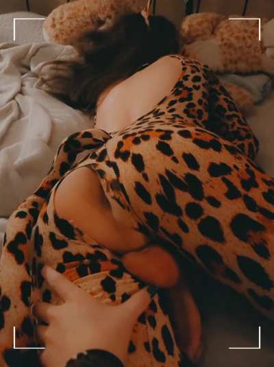 I'd be the perfect pet~