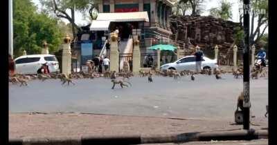 My take on the current situation: (10% TRAILER, 90% SUMMARY, 140% SHORT INTEREST) Much love to all you apes