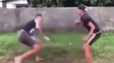 phainon & mydei fight scene in the trailer or whatever was going on there