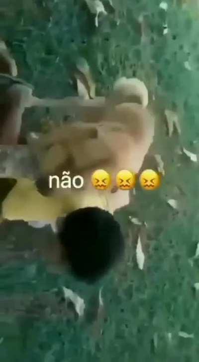 eu te amo caramelo