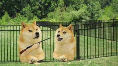 Philosophy student be like