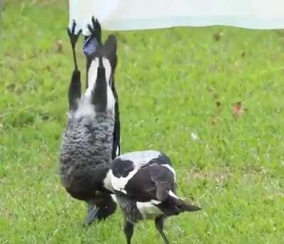 Don't disturb me when I'm hanging on