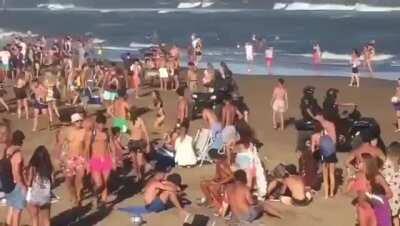 Temporada en la costa - 2021