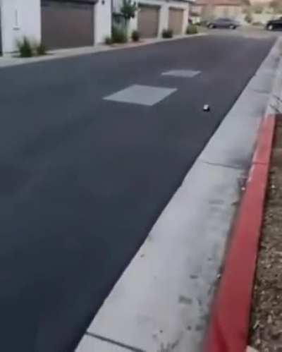 RC Car stunt doesn't go as planned