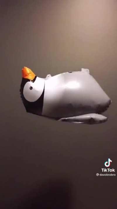 Penguin ascends (Credit: Davobrobro on tiktok)