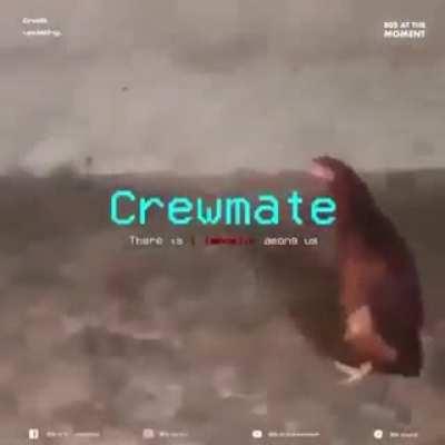 Sus!!!😱😱😱😱