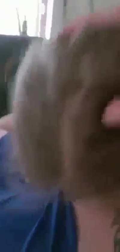 Wish you a nice week