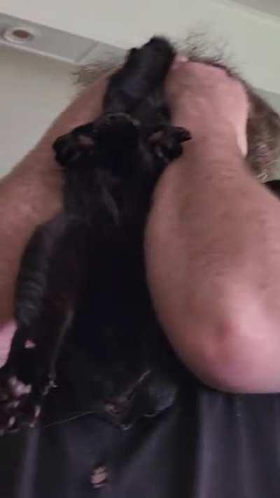 Guess I'll just hang here for a bit then.