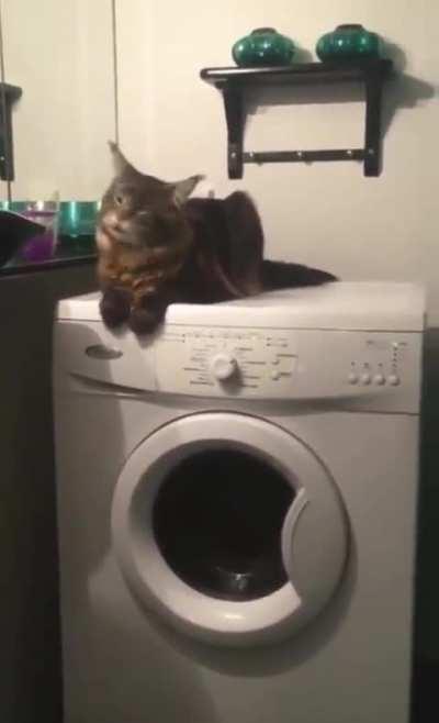 She's enjoying the vibration