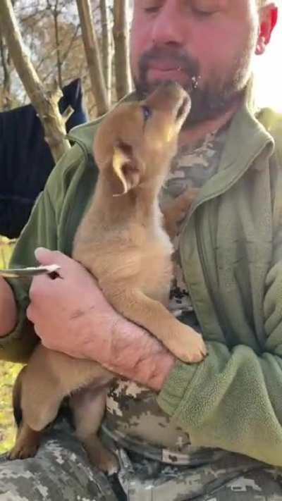 Ukrainian soldiers and puppies are the cutest 🥰
