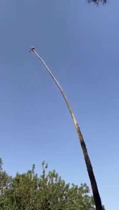 Bahubali intensifies