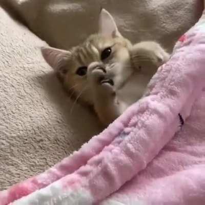 Cutest and tucked girl