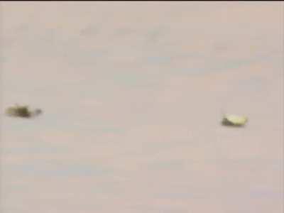 I don’t know what they should have done instead though. Those poor babies!