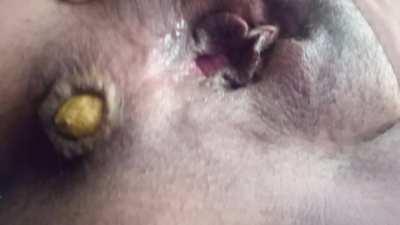 (f) I bet u can smell this video 