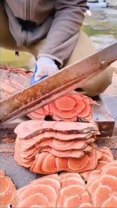 Forbidden prosciutto.