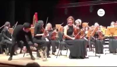 Cat stealing the show