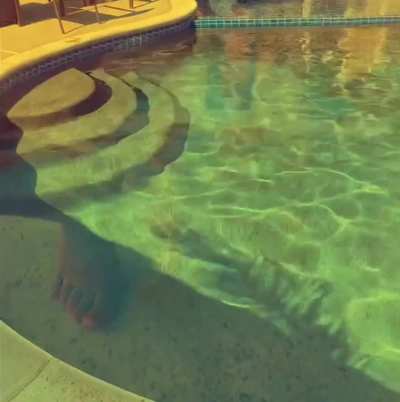 no hiding, just perfection