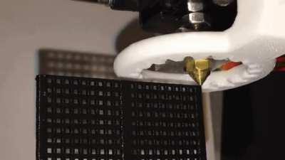 3D-printed fly swatter!