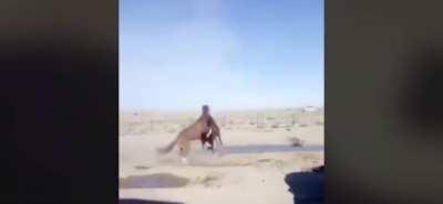 I think JJ should reconsider