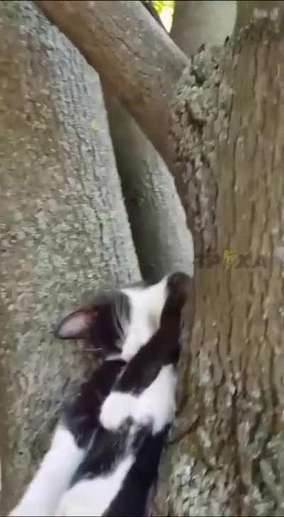 I can fall asleep anywhere I like :)))