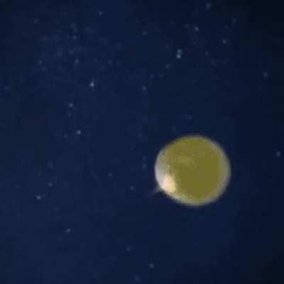 The solution to the Alien Barossa problem? 🤔