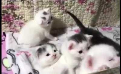 We have a jail break attempt going on.