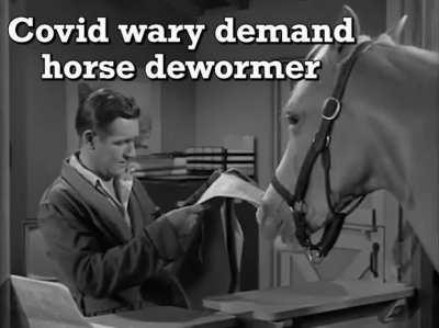 Hold your horses! This is a night-mare!