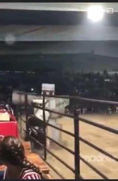 Minecraft Iron Golem..