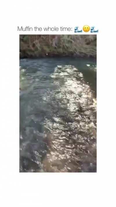 And the loaf almost floats away!