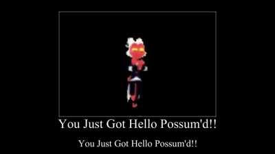 Hello Possum