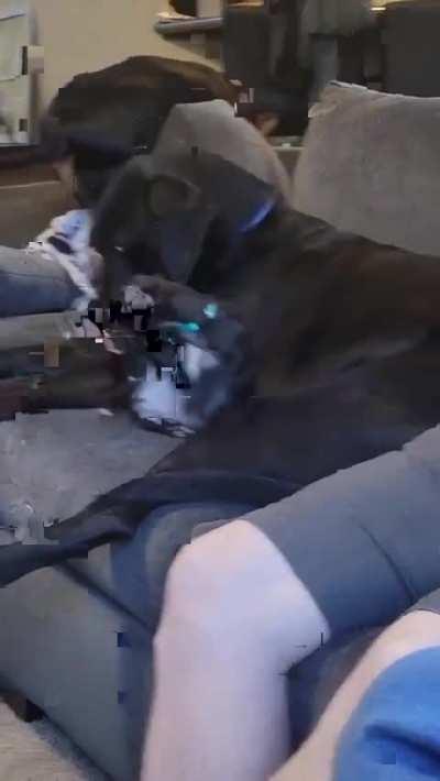 Play with me grandpa!