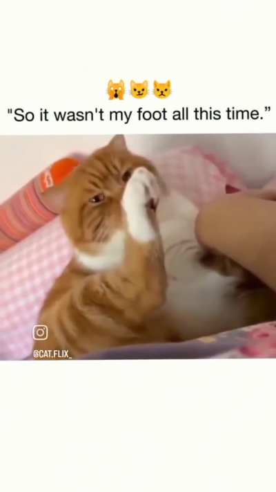 So it hasn’t been my foot this whole time?